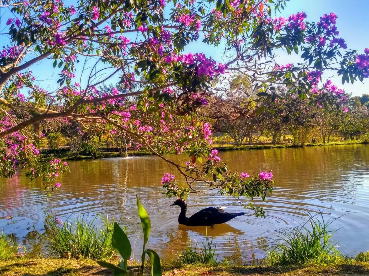 Pousada Chales Do Retiro - Serra Do Cipo Mg Jaboticatubas Ngoại thất bức ảnh